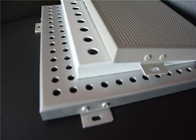 Acid Resisting 500*500mm Perforated Sheet Metal Panels